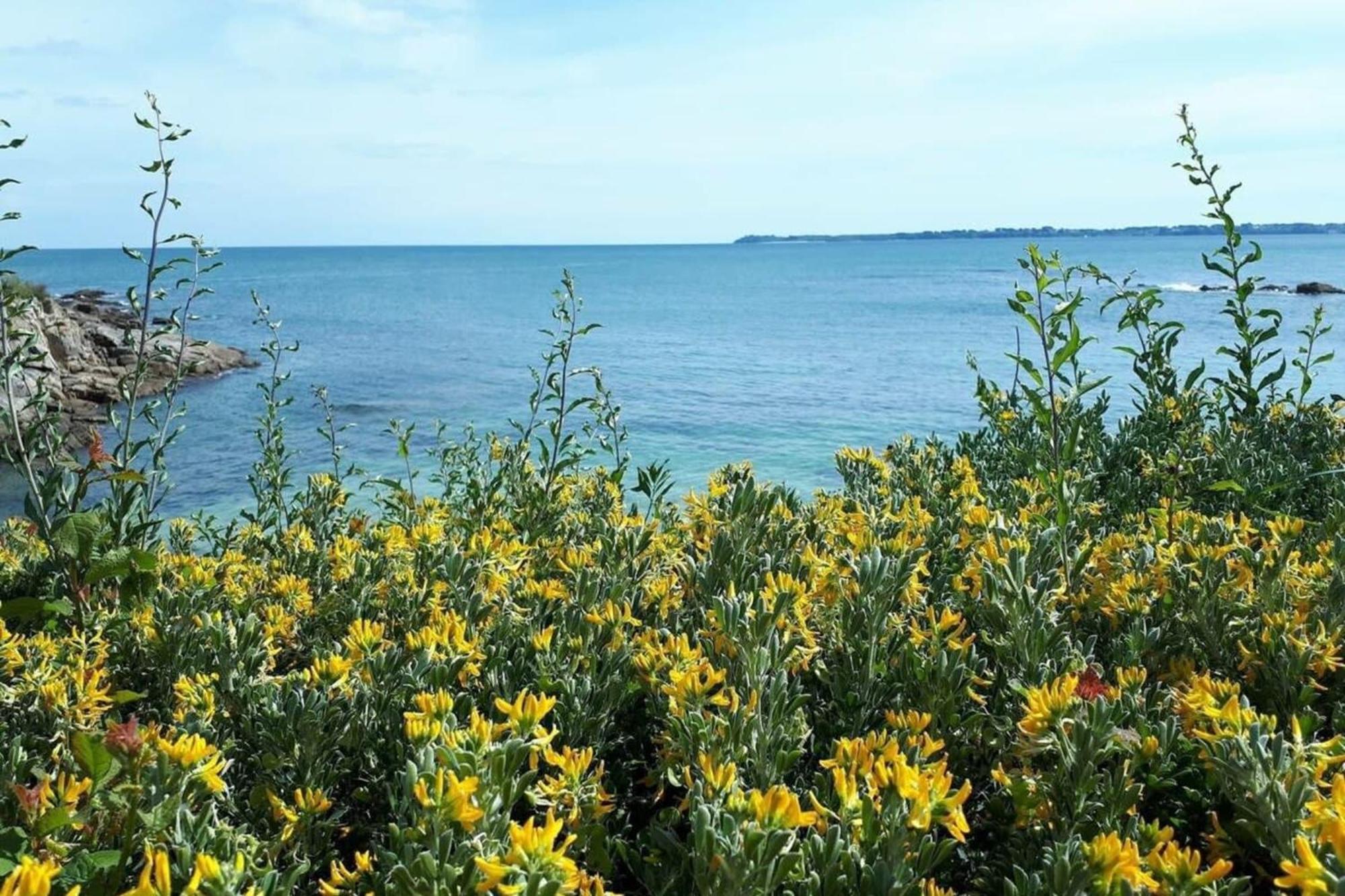Charmant T3 Cosy A 2 Pas Du Bourg Et Des Plages Larmor-Plage Buitenkant foto
